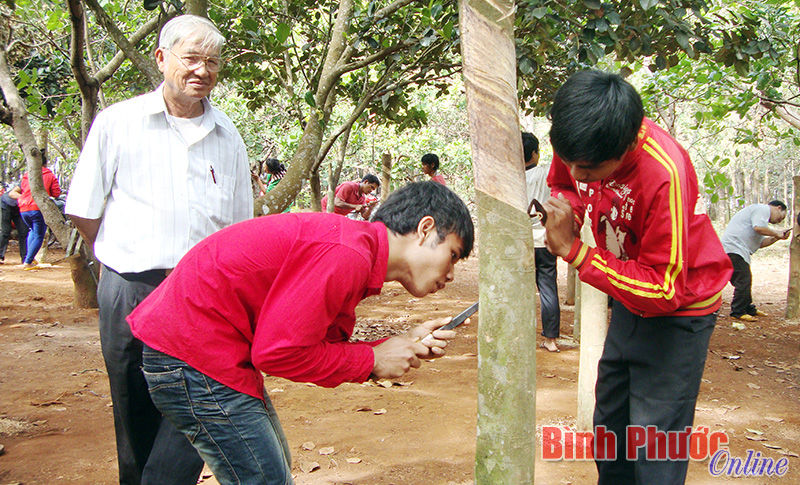 Đào tạo nghề và việc làm cho đồng bào DTTS: Bài toán nan giải từ nhiều phía