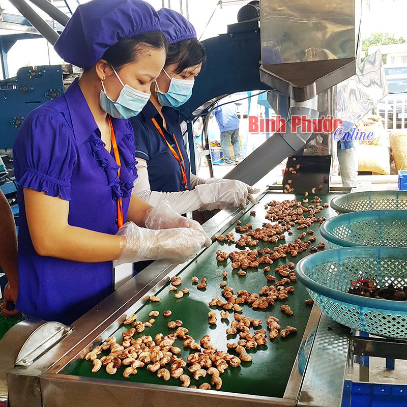 Nhân điều tinh chế của Việt Nam đạt gần 10%