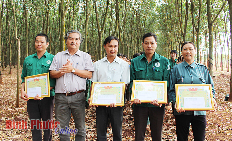Nông trường Quản Lợi: Năng suất vườn cây đạt 2,299 tấn/ha