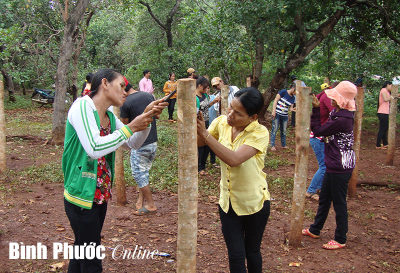 Số hộ nghèo của tỉnh đã giảm 2,5%