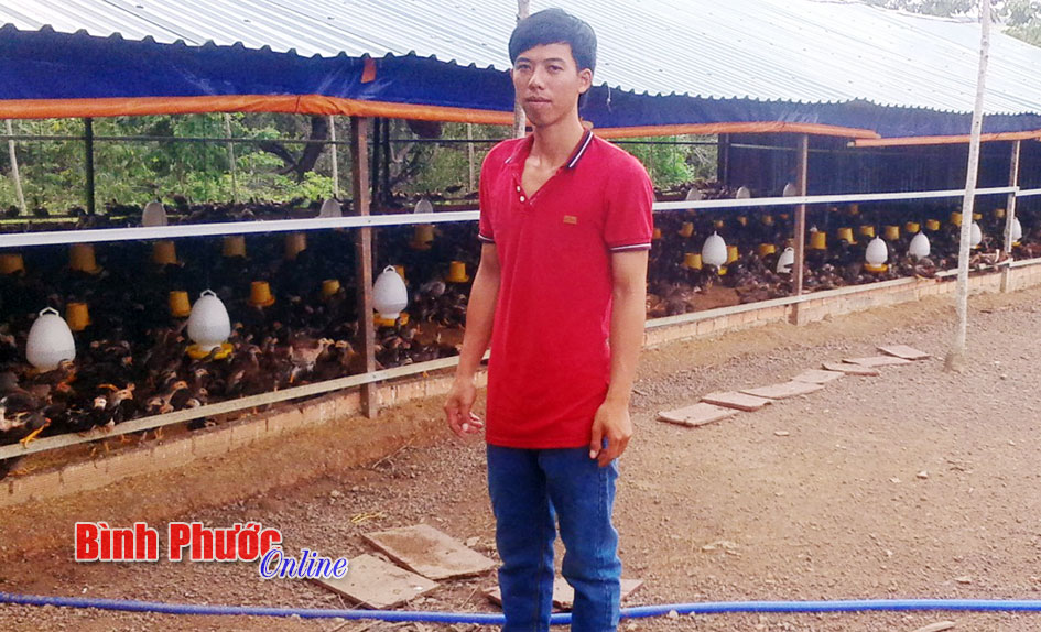 Một thanh niên trẻ khởi nghiệp từ 200 con gà