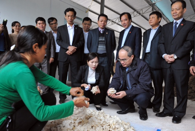 Liên kết làm ăn là nhu cầu tự thân của người nông dân