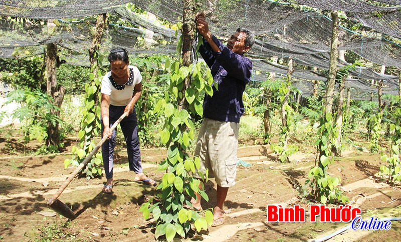 Hưng Chiến vượt kh&oacute; thực hiện nghị quyết giảm ngh&egrave;o