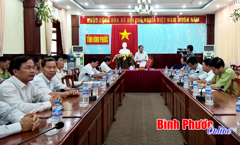 Ch&iacute;nh phủ đ&aacute;nh gi&aacute; kết quả trồng rừng: Phải đảm bảo diện t&iacute;ch rừng thay thế