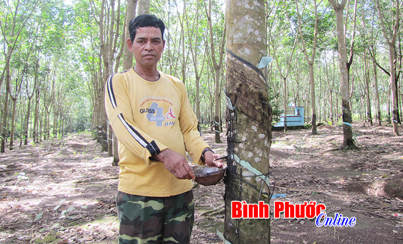 Ph&aacute;t triển kinh tế gắn với x&acirc;y dựng n&ocirc;ng th&ocirc;n mới