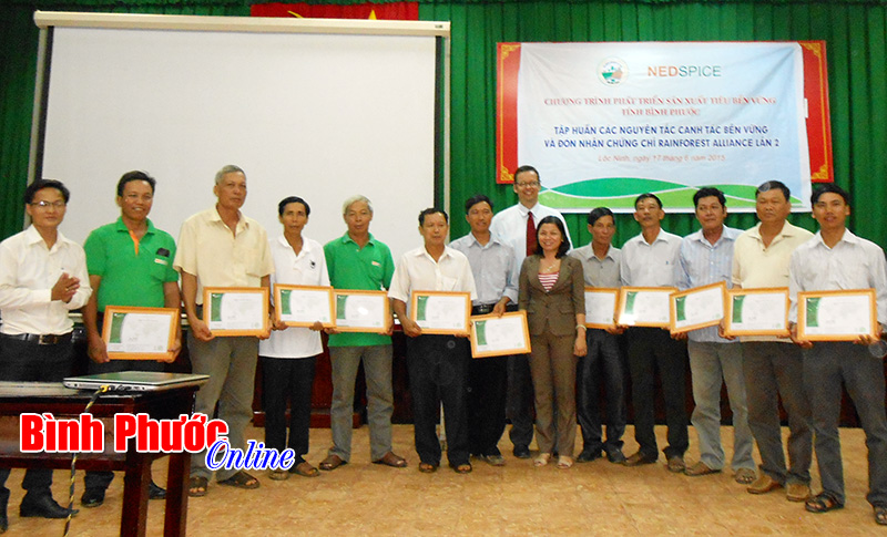 Khuyến nông - đổi mới cách làm mang lại hiệu quả kinh tế cao