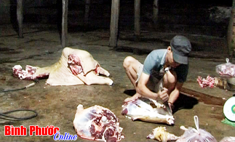 Kiểm tra 21 cơ sở giết mổ tập trung