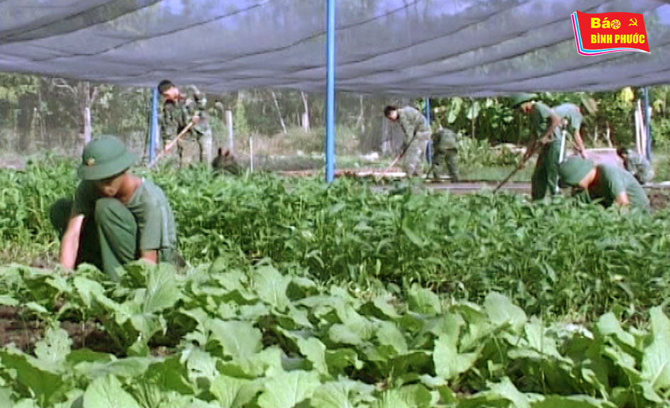 [Video] Đẩy mạnh phong trào tăng gia sản xuất ở Đại đội bộ binh 31