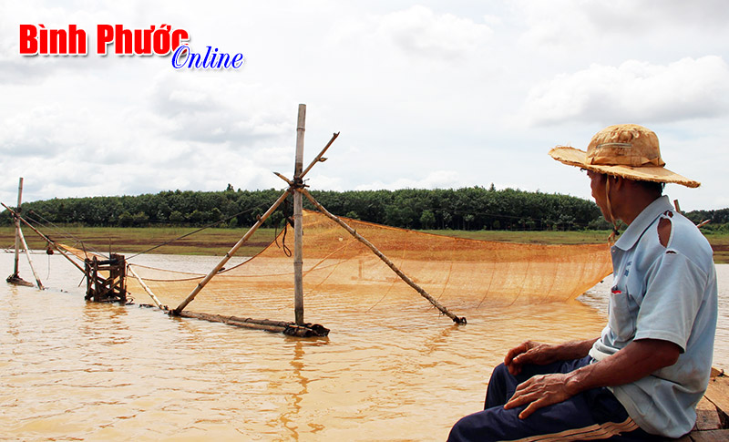 Ký sự: Ngược dòng sông Bé (Bài 4)