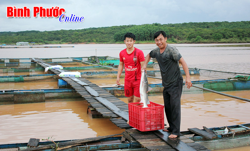 Ký sự: Ngược dòng sông Bé (Bài cuối)