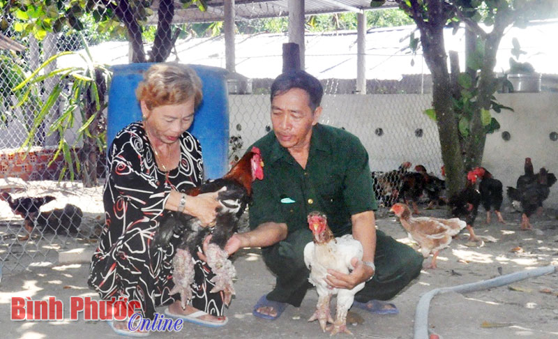 Làm kinh tế phải nắm chắc kỹ thuật