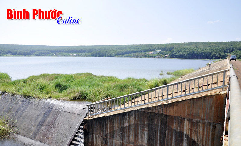 Lộc Ninh: Dự báo 981 ha cây trồng bị thiếu nước trong mùa khô 2015-2016