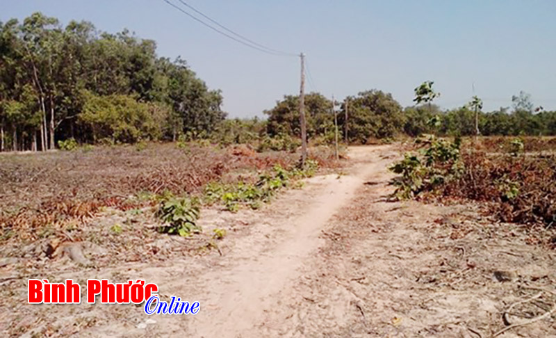 Lộc Ninh chuẩn bị chống hạn