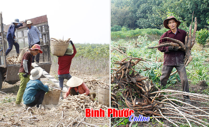 Mì tăng giá - mừng và lo