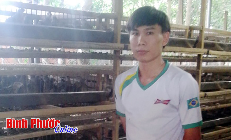 Mô hình chăn nuôi nhỏ hiệu quả cao