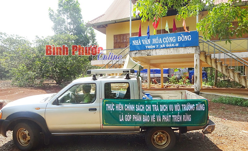 Hiệu quả sau 3 năm thực hiện chính sách chi trả dịch vụ môi trường rừng