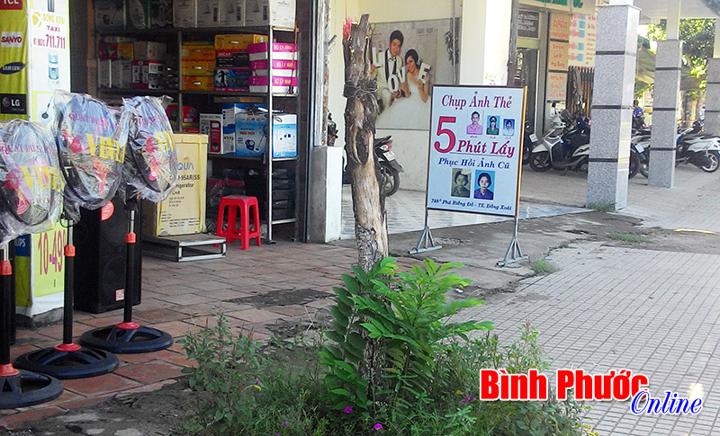 Một số cây xanh ở Đồng Xoài bị “bức tử”?