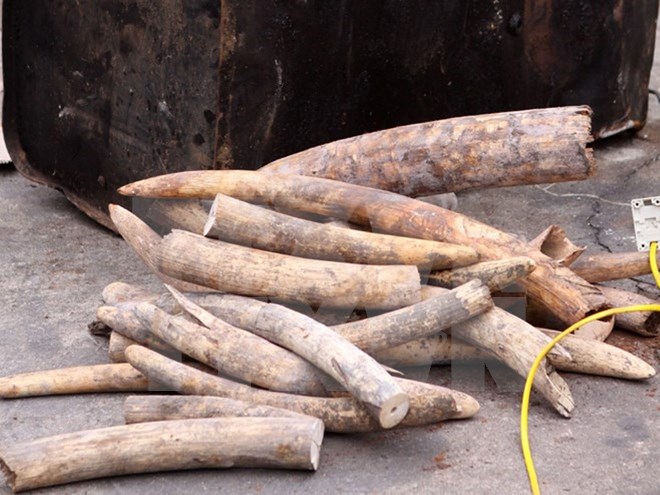 Cảnh b&aacute;o t&igrave;nh trạng bu&ocirc;n b&aacute;n động vật hoang d&atilde; qua mạng