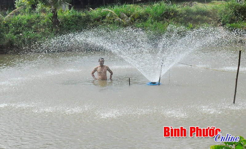 Lợi ích kép từ nuôi cá ứng dụng công nghệ hiện đại