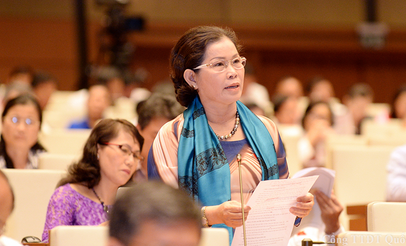 Đại biểu Phạm Thị Mỹ Lệ: Cần đưa c&acirc;y điều v&agrave;o danh mục c&acirc;y trồng rừng