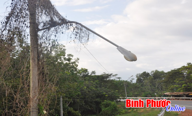 Ảnh ph&ecirc; b&igrave;nh: Đ&egrave;n ng&agrave;y một gần với đường