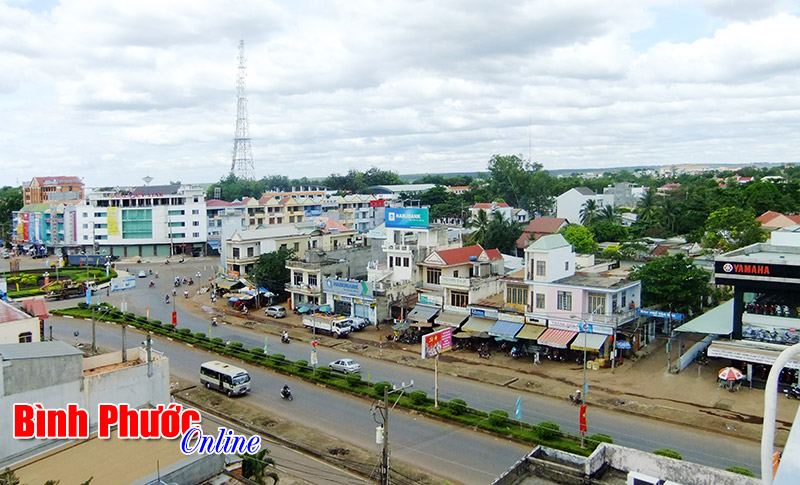 Rất mong c&oacute; nhiều nơi l&agrave;m giống T&acirc;n Đồng