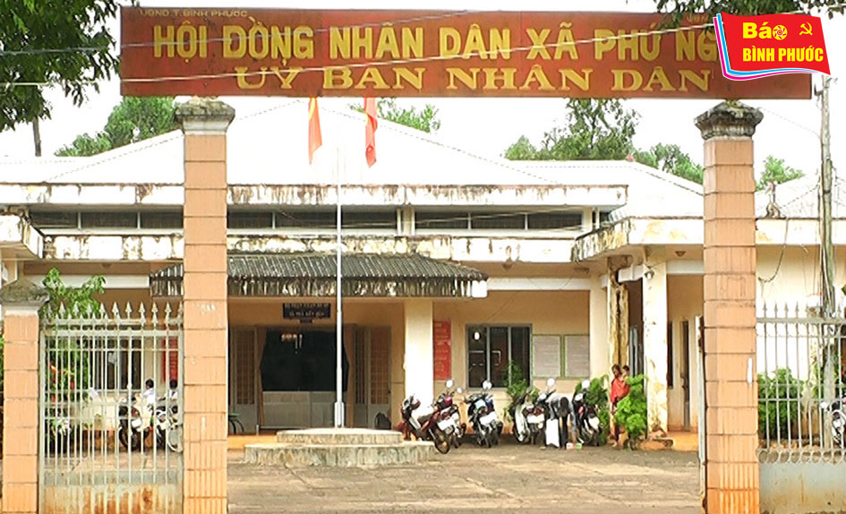 [Video] Phú Nghĩa: Cầm cố đất, bán điều non đã giảm