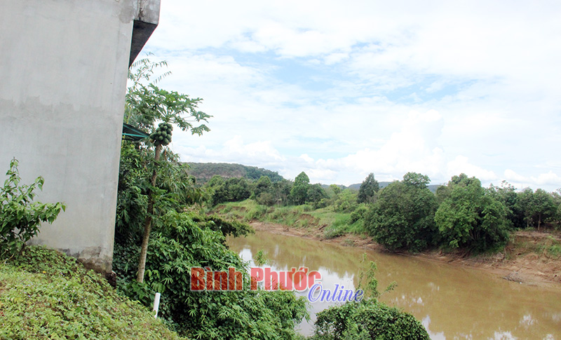 Nỗi lo sạt lở bờ sông Đồng Nai