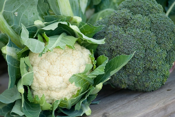 Súp lơ - thực phẩm thần kỳ giải độc tố