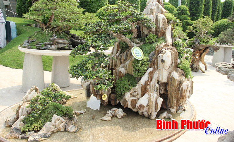 Đại hội hội sinh vật cảnh x&atilde; Long T&acirc;n