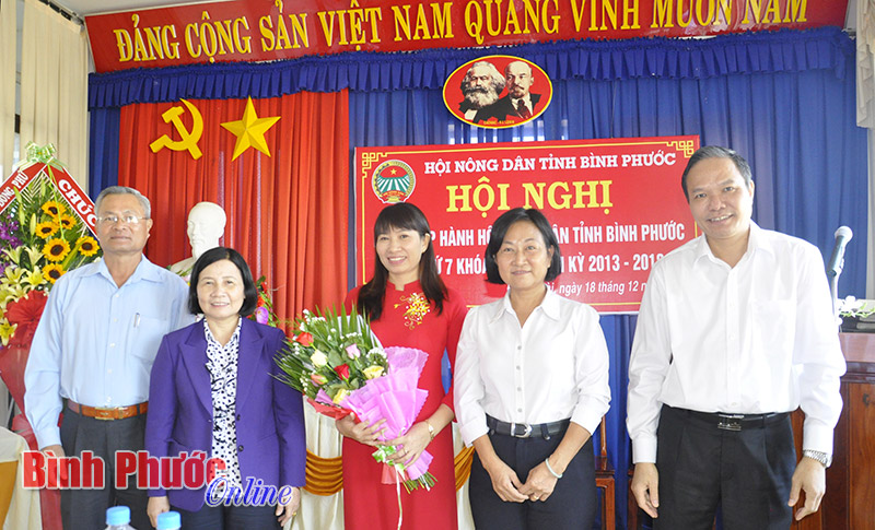 B&agrave; Đ&agrave;o Thị Lanh được bầu giữ chức Chủ tịch Hội N&ocirc;ng d&acirc;n tỉnh