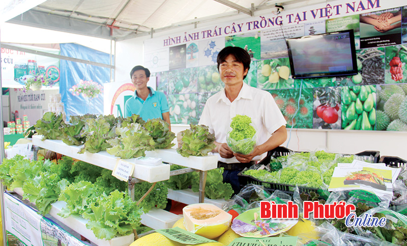 Tái cơ cấu ngành nông nghiệp gắn với xây dựng nông thôn mới