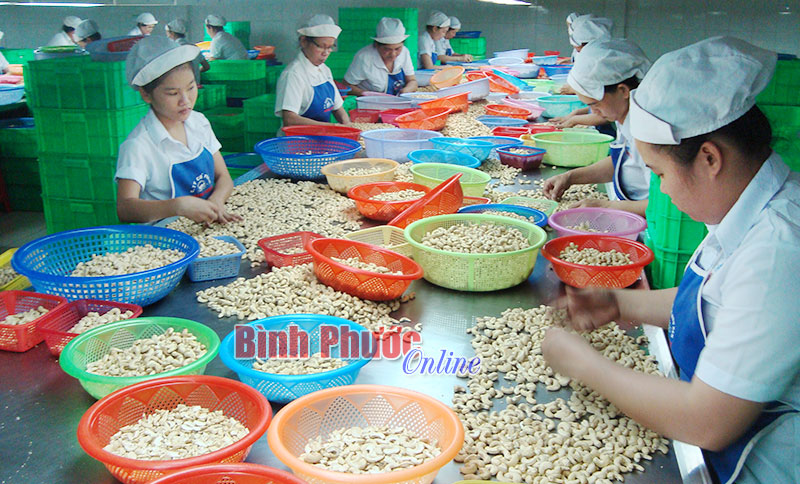 Thành công từ uy tín và chất lượng sản phẩm