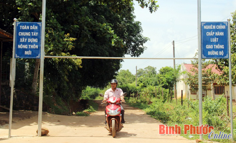 Xã Thanh Lương đã đạt 16/19 tiêu chí nông thôn mới