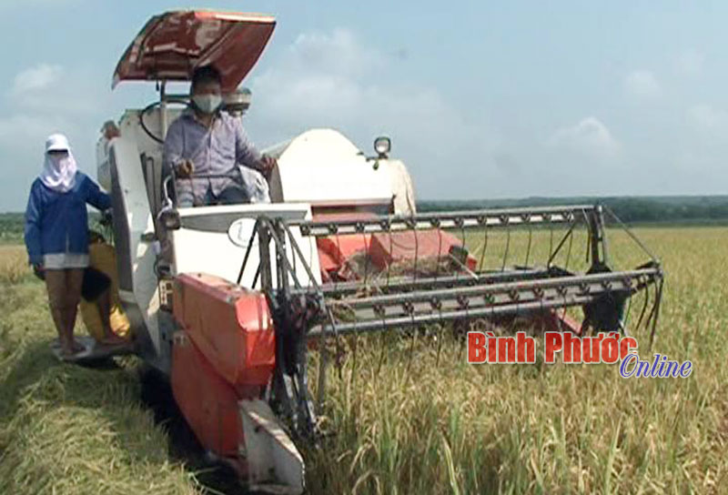 Nông dân xã Thiện Hưng đẩy mạnh cơ giới hóa