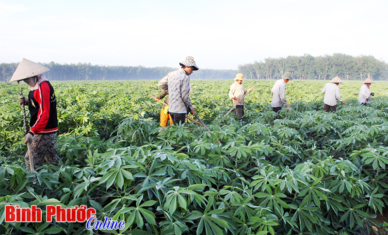 9 tháng, 22.361 lượt hộ nghèo và các đối tượng chính sách được vay vốn