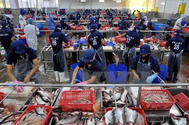 Gia nhập Cộng đồng kinh tế ASEAN: Chủ động từ doanh nghiệp