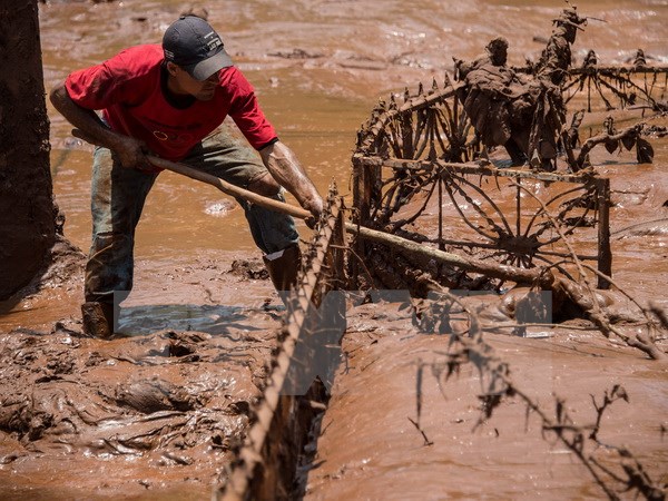 Vỡ đập tại Brazil: 13 thợ mỏ bị vùi trong bùn ít có khả năng sống sót