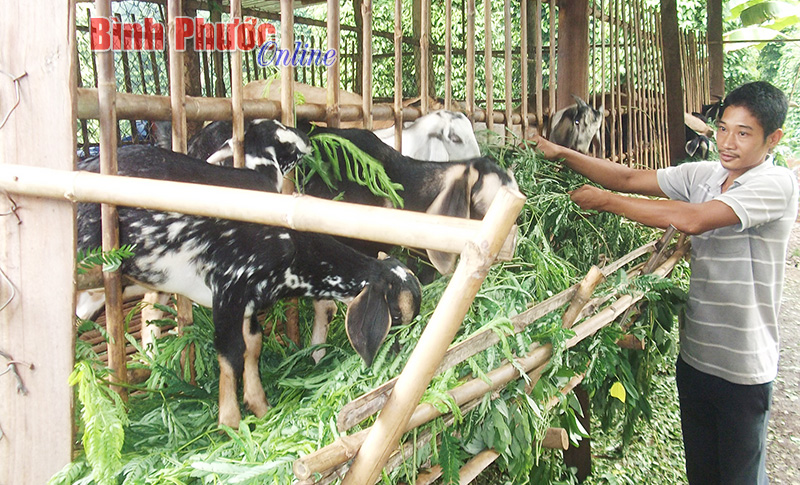 Tư duy làm nông thôn mới ở Thanh An