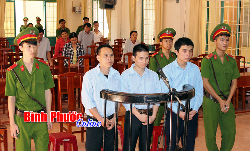 Mua b&aacute;n, t&agrave;ng trữ ma t&uacute;y, 3 thanh ni&ecirc;n l&atilde;nh &aacute;n 21 năm t&ugrave;