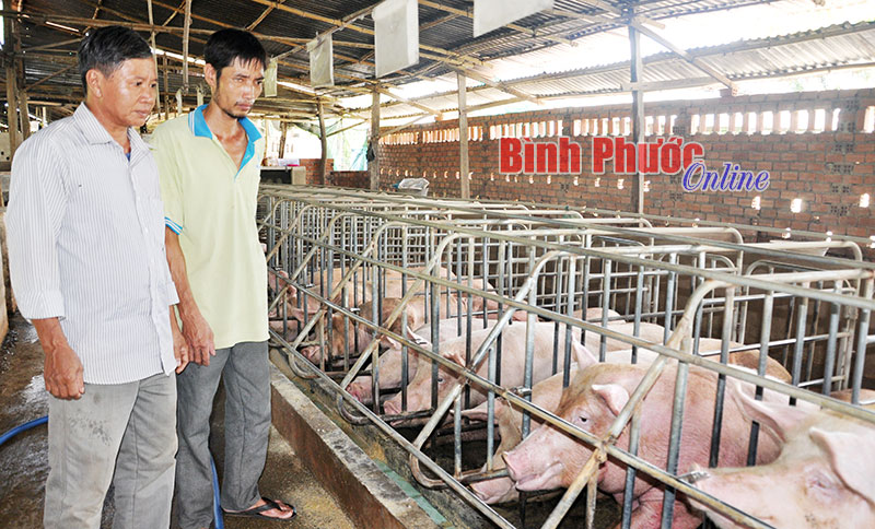 Tổ hợp tác V.A.C Lộc Thái: Liên kết giúp nhau phát triển kinh tế