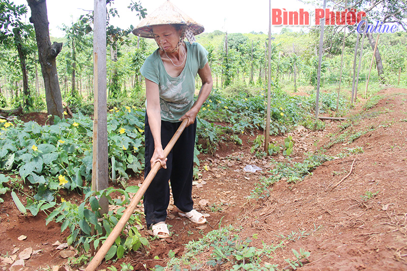 Vụ sang nhượng đất ở Bù Rên: 14 gia đình có nguy cơ “trắng tay”