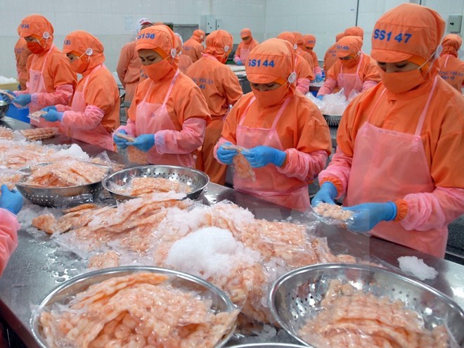 Xuất khẩu thủy sản dự báo sẽ "tăng tốc" từ Hiệp định TPP