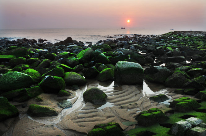 ​Kè chắn sóng Xóm Rớ thành bãi đá rêu xanh hút hồn du khách