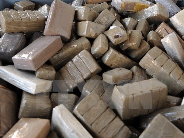 Cảnh sát Colombia và Ecuador tịch thu hơn 3 tấn cocaine