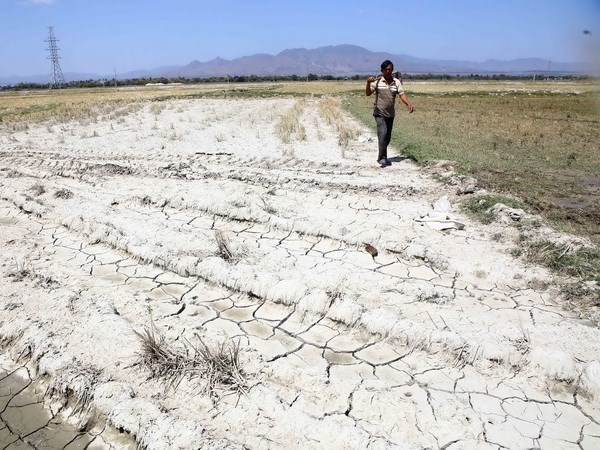 ​WMO cảnh báo khí hậu đang biến đổi ở mức độ "chưa từng thấy"