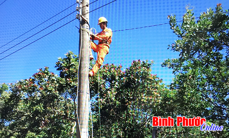 37 hộ dân thôn 1, xã Minh Hưng đã có điện