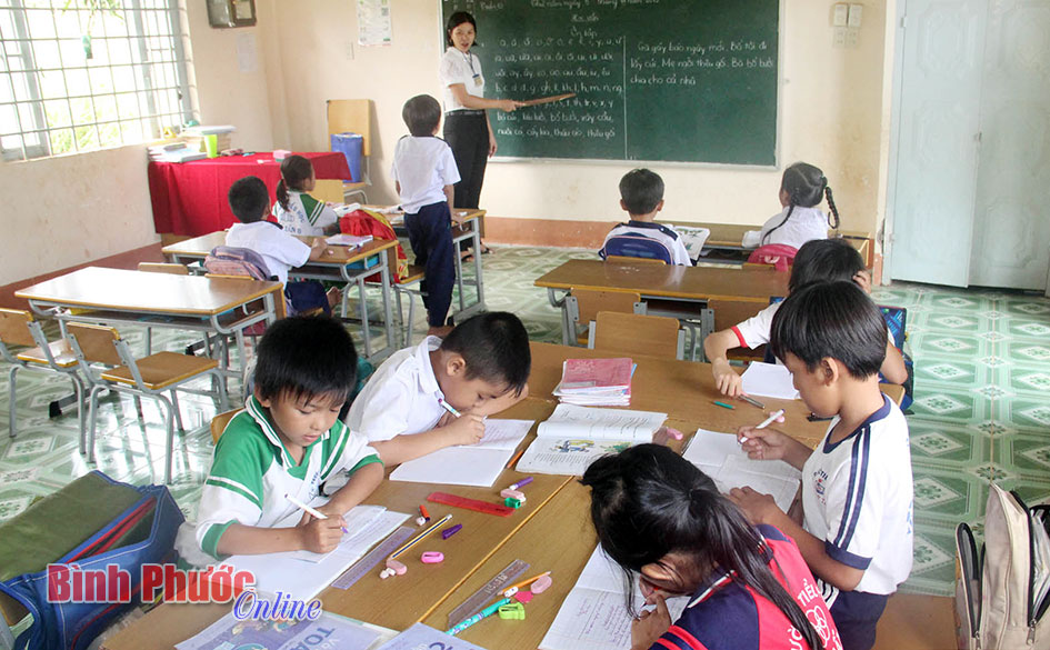 Gieo mầm sống trên “vùng đất chết”