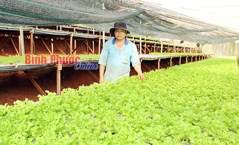 Bao giờ không còn nỗi lo từ bao tử tới nghĩa địa?