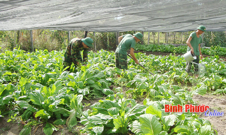 Đồn bi&ecirc;n ph&ograve;ng T&agrave; P&eacute;t vượt kh&oacute; ho&agrave;n th&agrave;nh tốt nhiệm vụ